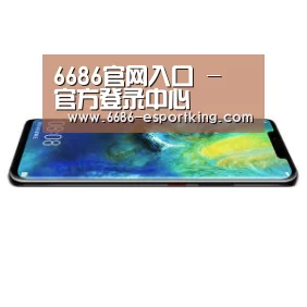 华为无线快充手机