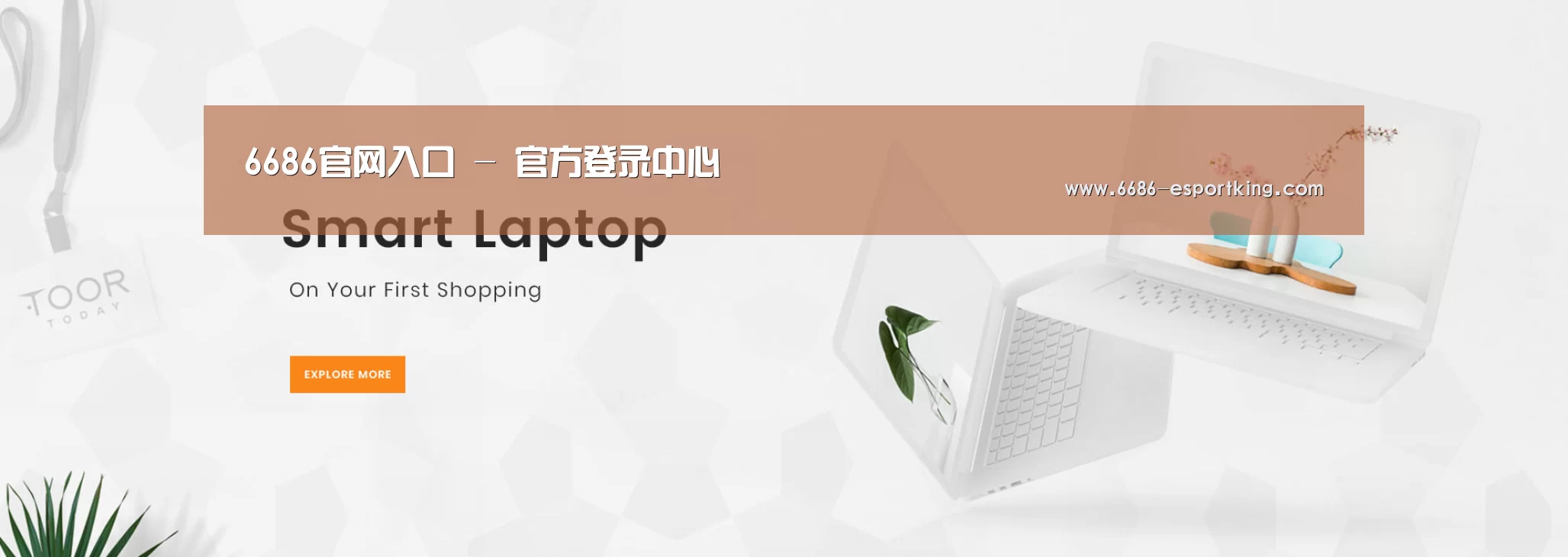 某某网络科技有限公司