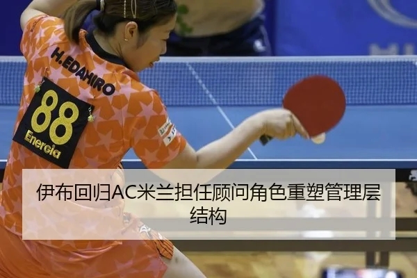 yi-bu-hui-gui-mi-lan-dan-ren-gu-wen-jue-se-zhong-su-guan-li-ceng-jie-gou-2-576.jpg