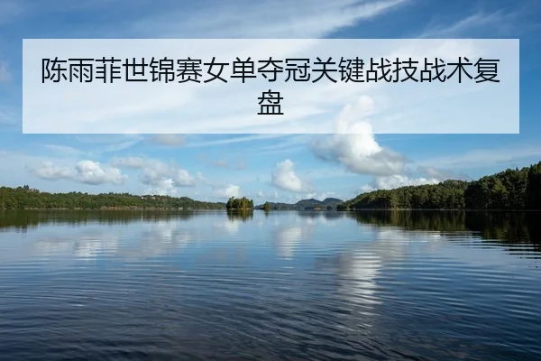 陈雨菲世锦赛女单夺冠关键战技战术复盘