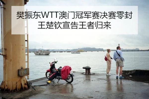 樊振东WTT澳门冠军赛决赛零封王楚钦宣告王者归来